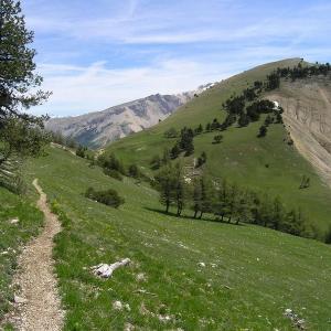 DieNousLeChemin