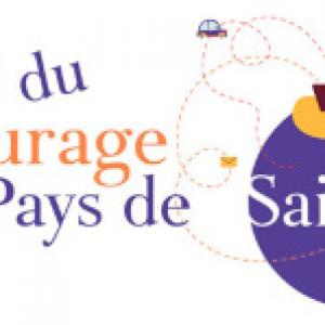 covoiturage saillllans